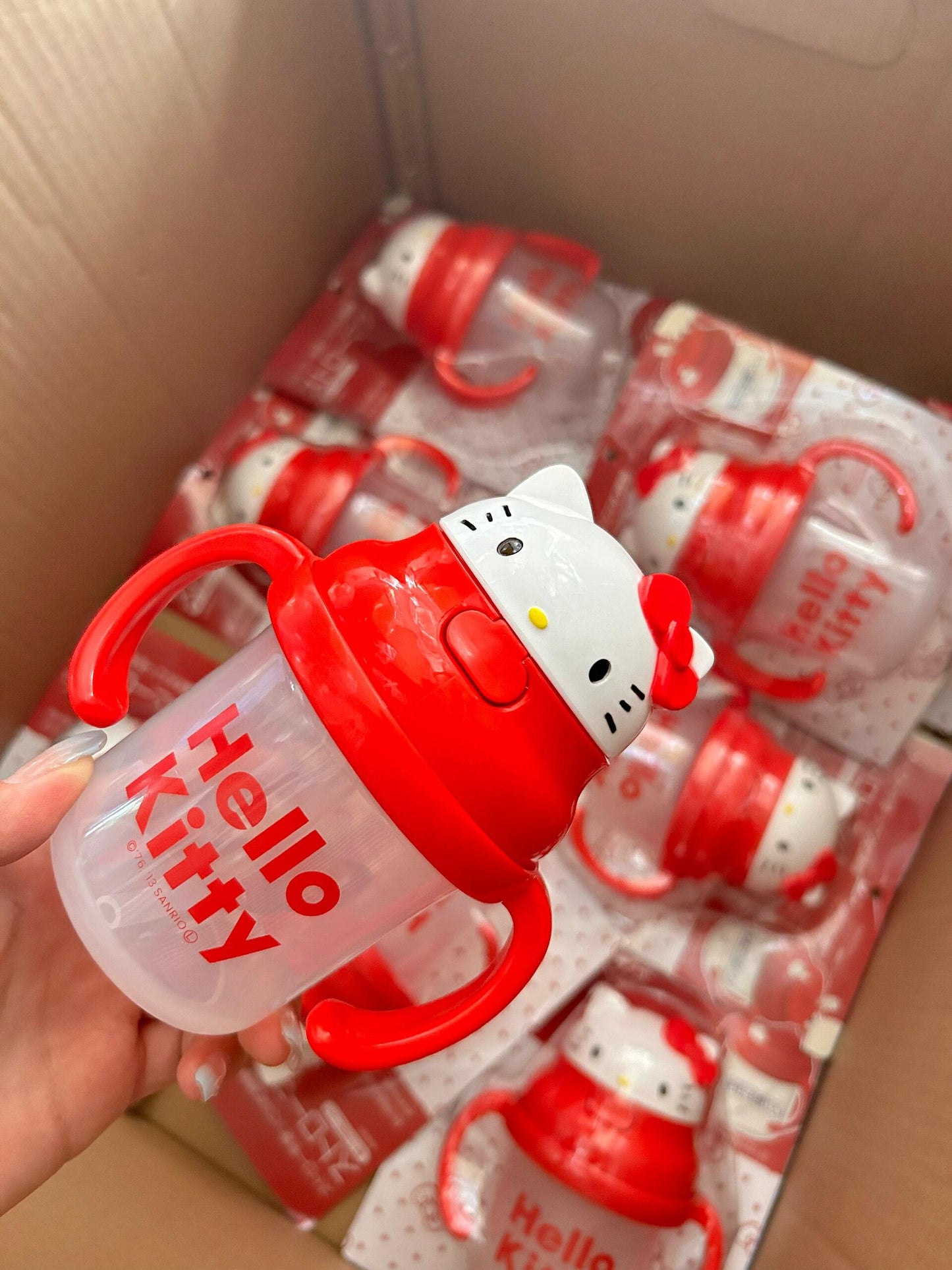 Hellokitty Drinking Cup No Spill Cute Water Bottle with Lids and Straws Leak Proof Handles
