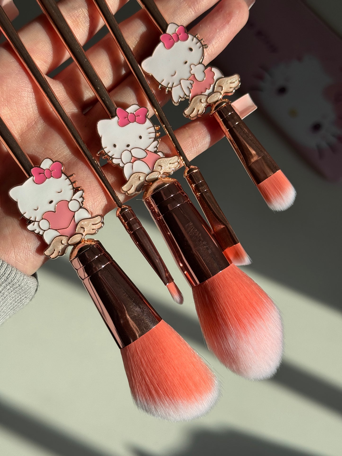 Makeup Brush Set 5 Pcs Makeup Brush with Pink Bag