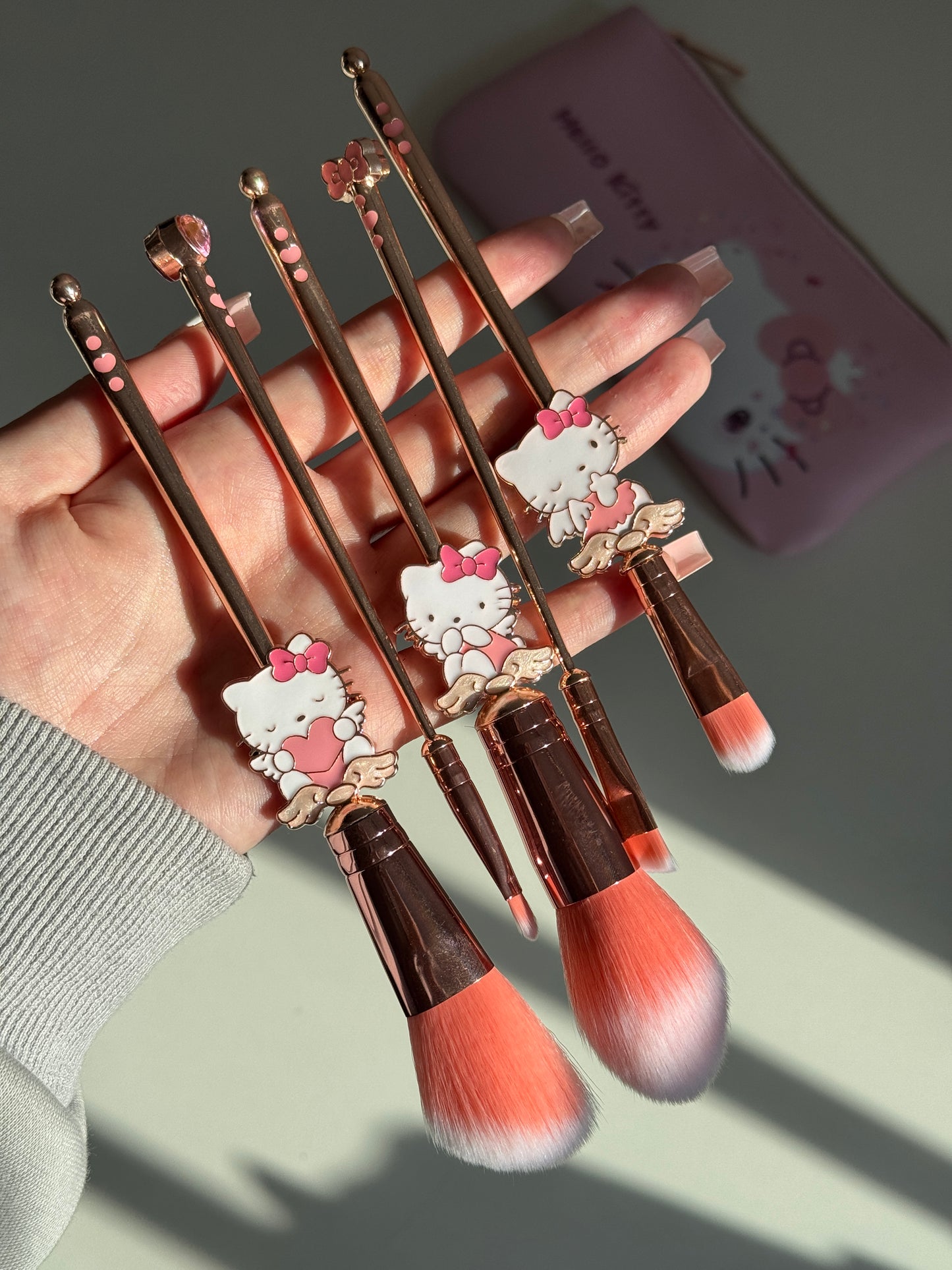 Makeup Brush Set 5 Pcs  Makeup Brush with Pink Bag